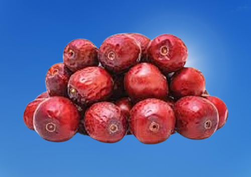 images/category_logo/aa01880d-9790-4b8d-9142-2a0a7051b6a8.png